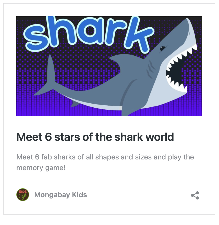 A story about 6 kinds of sharks